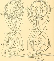 An illustration from U.S. patents covering time keeping mechanisms (1892)