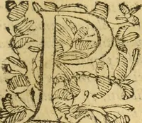 An illustration from Usus et Fabrica Circini Cuiusdam Proportionis (1655)