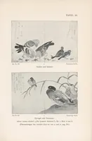 Picture 2 of 5 from Utamaro (1907), leaf 139