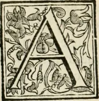 An illustration from Utilissimo trattato dell'acque correnti : diviso in tre libri : nel quale si notificano le misure, ed esperienze di esse : i giuochi, e scherzi, li quali per mezzo dell'aria, e del fuoco, vengono operati dall'acqua : con diversi necessarii ammaestramenti intorno al modo di far condotti, fistole, bottini, ed altro, per condurre l'acque ne' luoghi destinati : con una esatta notizia di tutto quello, ch'è stato operato intorno alla conduttura dell' acqua di Bracciano (1696)