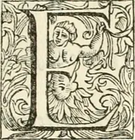 An illustration from Utilissimo trattato dell'acque correnti : diviso in tre libri : nel quale si notificano le misure, ed esperienze di esse : i giuochi, e scherzi, li quali per mezzo dell'aria, e del fuoco, vengono operati dall'acqua : con diversi necessarii ammaestramenti intorno al modo di far condotti, fistole, bottini, ed altro, per condurre l'acque ne' luoghi destinati : con una esatta notizia di tutto quello, ch'è stato operato intorno alla conduttura dell' acqua di Bracciano (1696)