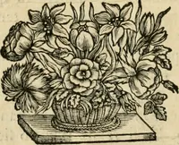 An illustration from Utilissimo trattato dell'acque correnti : diviso in tre libri : nel quale si notificano le misure, ed esperienze di esse : i giuochi, e scherzi, li quali per mezzo dell'aria, e del fuoco, vengono operati dall'acqua : con diversi necessarii ammaestramenti intorno al modo di far condotti, fistole, bottini, ed altro, per condurre l'acque ne' luoghi destinati : con una esatta notizia di tutto quello, ch'è stato operato intorno alla conduttura dell' acqua di Bracciano (1696)