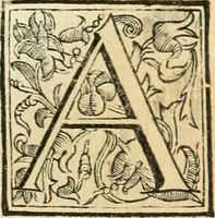 An illustration from Utilissimo trattato dell'acque correnti : diviso in tre libri : nel quale si notificano le misure, ed esperienze di esse : i giuochi, e scherzi, li quali per mezzo dell'aria, e del fuoco, vengono operati dall'acqua : con diversi necessarii ammaestramenti intorno al modo di far condotti, fistole, bottini, ed altro, per condurre l'acque ne' luoghi destinati : con una esatta notizia di tutto quello, ch'è stato operato intorno alla conduttura dell' acqua di Bracciano (1696)