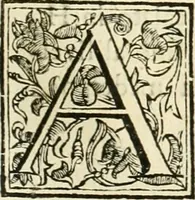 An illustration from Utilissimo trattato dell'acque correnti : diviso in tre libri : nel quale si notificano le misure, ed esperienze di esse : i giuochi, e scherzi, li quali per mezzo dell'aria, e del fuoco, vengono operati dall'acqua : con diversi necessarii ammaestramenti intorno al modo di far condotti, fistole, bottini, ed altro, per condurre l'acque ne' luoghi destinati : con una esatta notizia di tutto quello, ch'è stato operato intorno alla conduttura dell' acqua di Bracciano (1696)