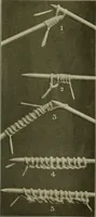An illustration from Utopia yarn book; being a practical treatise on knitting and crocheting (1919)