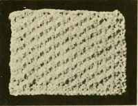 An illustration from Utopia yarn book; being a practical treatise on knitting and crocheting (1919)