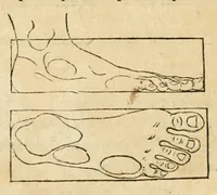 Picture 7 of 21 from Utriusque cosmi maioris scilicet et minoris metaphysica, physica atque technica historia : in duo volumnina secundum cosmi differentiam diuisa (1617), leaf 120