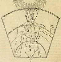 Picture 13 of 21 from Utriusque cosmi maioris scilicet et minoris metaphysica, physica atque technica historia : in duo volumnina secundum cosmi differentiam diuisa (1617), leaf 246