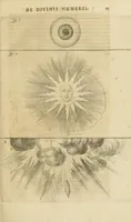Picture 2 of 21 from Utriusque cosmi maioris scilicet et minoris metaphysica, physica atque technica historia : in duo volumnina secundum cosmi differentiam diuisa (1617), leaf 29