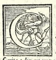 An illustration from Vaccaria : comedia (1555)