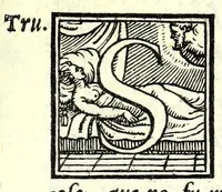 Picture 6 of 6 from Vaccaria : comedia (1555), leaf 81