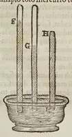 Picture 6 of 11 from Vacvvm proscriptvm : dispvtatio physica (1649), leaf 101