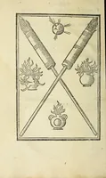 An illustration from Vallo : libro cõtinente appertenentie ad capitanii, retenere & fortificare una citta cõ bastioni, con noui artificii de fuoco aggionti, come nella tabola appare, & de diverse sorte poluere, et de expugnare una citta cõ põti, scale, argani, trõbe, trẽciere, artegliarie, caue, dare auisamenti senza messo allo amico, fare ordinanze, battaglioni, et ponti de disfida con lo pingere, opera molto utile con la experientia de larte (1528)