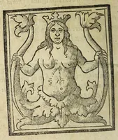 Picture 17 of 17 from Vallo : libro cõtinente appertenentie ad capitanii, retenere & fortificare una citta cõ bastioni, con noui artificii de fuoco aggionti, come nella tabola appare, & de diverse sorte poluere, et de expugnare una citta cõ põti, scale, argani, trõbe, trẽciere, artegliarie, caue, dare auisamenti senza messo allo amico, fare ordinanze, battaglioni, et ponti de disfida con lo pingere, opera molto utile con la experientia de larte (1528), leaf 162