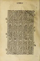 Picture 4 of 17 from Vallo : libro cõtinente appertenentie ad capitanii, retenere & fortificare una citta cõ bastioni, con noui artificii de fuoco aggionti, come nella tabola appare, & de diverse sorte poluere, et de expugnare una citta cõ põti, scale, argani, trõbe, trẽciere, artegliarie, caue, dare auisamenti senza messo allo amico, fare ordinanze, battaglioni, et ponti de disfida con lo pingere, opera molto utile con la experientia de larte (1528), leaf 30