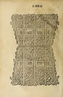 Picture 5 of 17 from Vallo : libro cõtinente appertenentie ad capitanii, retenere & fortificare una citta cõ bastioni, con noui artificii de fuoco aggionti, come nella tabola appare, & de diverse sorte poluere, et de expugnare una citta cõ põti, scale, argani, trõbe, trẽciere, artegliarie, caue, dare auisamenti senza messo allo amico, fare ordinanze, battaglioni, et ponti de disfida con lo pingere, opera molto utile con la experientia de larte (1528), leaf 32