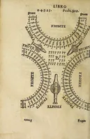 Picture 15 of 17 from Vallo : libro cõtinente appertenentie ad capitanii, retenere & fortificare una citta cõ bastioni, con noui artificii de fuoco aggionti, come nella tabola appare, & de diverse sorte poluere, et de expugnare una citta cõ põti, scale, argani, trõbe, trẽciere, artegliarie, caue, dare auisamenti senza messo allo amico, fare ordinanze, battaglioni, et ponti de disfida con lo pingere, opera molto utile con la experientia de larte (1528), leaf 96