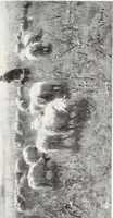 Picture 53 of 72 from Valuable paintings by distinguished masters of the Barbizon, contemporaneous and American schools, together with several Barye bronzes (1913), leaf 190