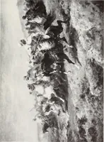 An illustration from Valuable paintings by distinguished masters of the Barbizon, contemporaneous and American schools, together with several Barye bronzes (1913)