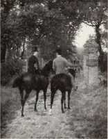 Picture 21 of 72 from Valuable paintings by distinguished masters of the Barbizon, contemporaneous and American schools, together with several Barye bronzes (1913), leaf 92