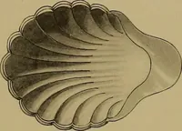 An illustration from The values of old English silver and Sheffeld plate, from the xvth to the xixth centuries (1906)