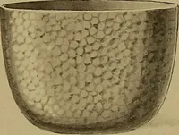 An illustration from The values of old English silver and Sheffeld plate, from the xvth to the xixth centuries (1906)
