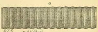 An illustration from Van Nostrand's eclectic engineering magazine (1869)