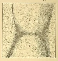 An illustration from Van Nostrand's eclectic engineering magazine (1869)