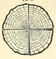 An illustration from Van Nostrand's eclectic engineering magazine (1869)