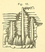 An illustration from Van Nostrand's engineering magazine (1879)