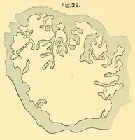 An illustration from Van Nostrand's engineering magazine (1879)