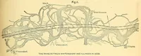Picture 1 of 16 from Van Nostrand's engineering magazine (1879), leaf 129