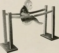 An illustration from Vantine's. (1917)