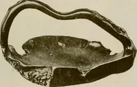 An illustration from Vantine's. (1917)