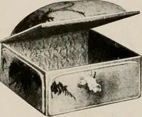 An illustration from Vantine's. (1917)