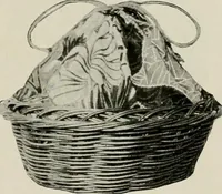 An illustration from Vantine's. (1917)