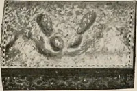 An illustration from Vantine's. (1917)