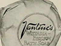 An illustration from Vantine's. (1917)