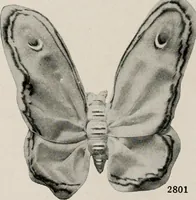Picture 198 of 459 from Vantine's. (1917), leaf 49