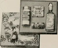 An illustration from Vantine's. (1917)