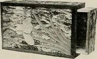 An illustration from Vantine's. (1917)