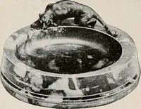 Picture 232 of 459 from Vantine's. (1917), leaf 57