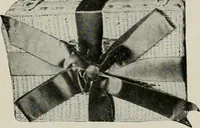 An illustration from Vantine's. (1917)