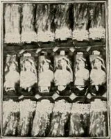 An illustration from Vantine's. (1917)