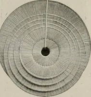 An illustration from Vantine's. (1917)