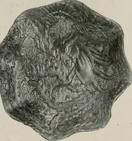 Picture 317 of 459 from Vantine's. (1917), leaf 86
