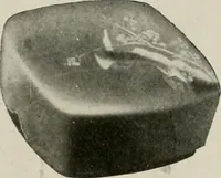 Picture 338 of 459 from Vantine's. (1917), leaf 90