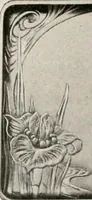 An illustration from Vantine's. (1917)