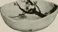 An illustration from Vantine's. (1917)