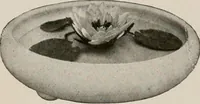 Picture 380 of 459 from Vantine's. (1917), leaf 99